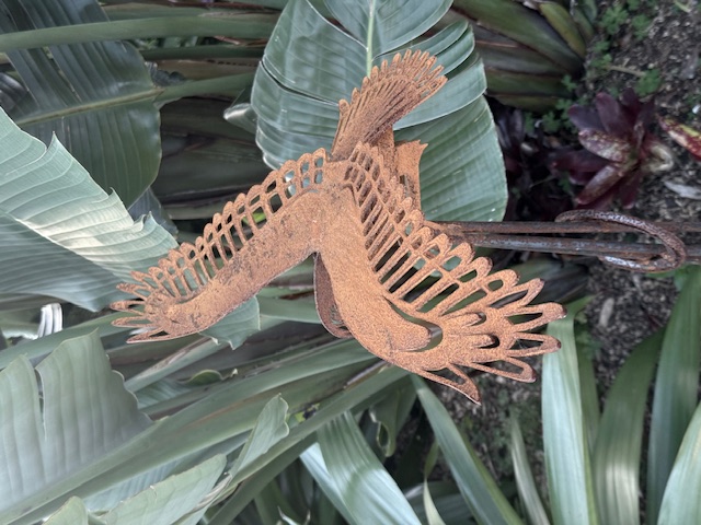 images/RS KAHU5.jpeg